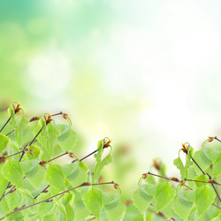 Similar image 6746347