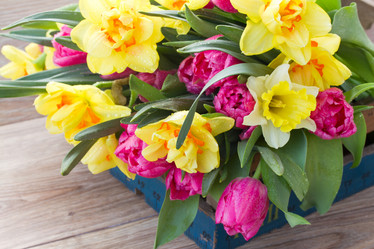 Similar image 6746350