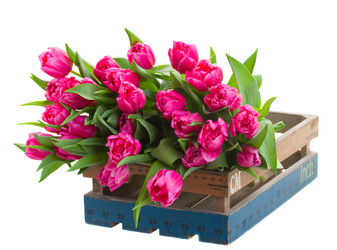 Similar image 6746354