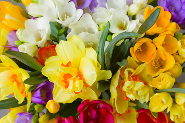 Similar image 6746357