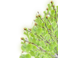 Similar image 6746368