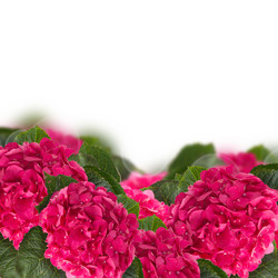 Similar image 6746377