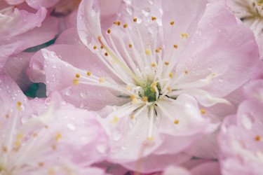 Similar image 6746399