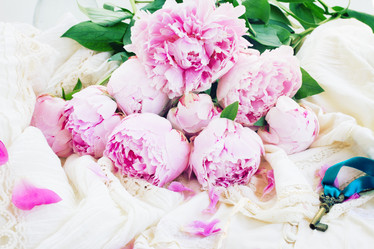 Similar image 6746406