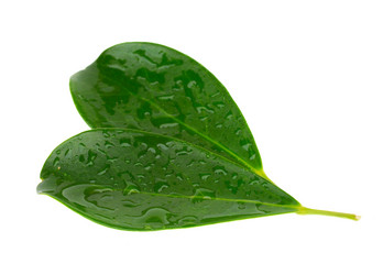 Similar image 6746430