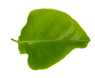 Similar image 6746431