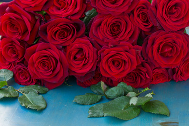 Similar image 6746438