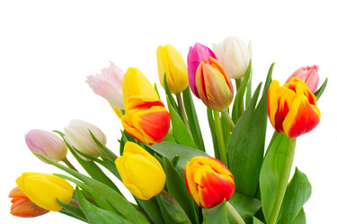 Similar image 6746445