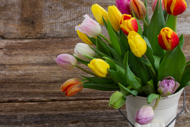 Similar image 6746448