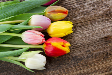 Similar image 6746467