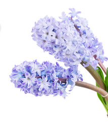 Similar image 6746522