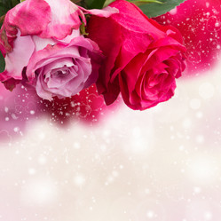 Similar image 6746533