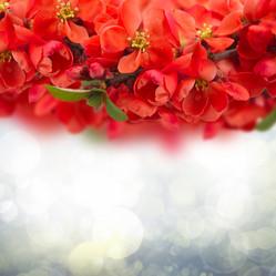 Similar image 6746535