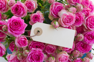 Similar image 6746539