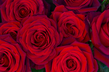 Similar image 6746543