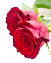 Similar image 6746548