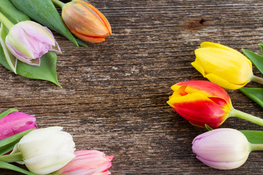 Similar image 6746553