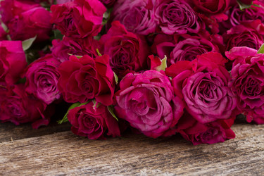 Similar image 6746556