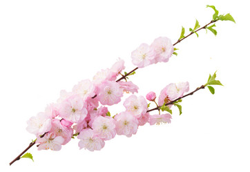 Similar image 6746558