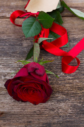 Similar image 6746559