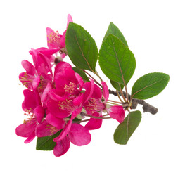 Similar image 6746564