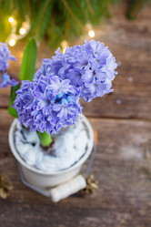 Similar image 6746591