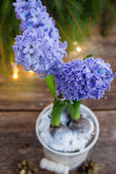 Similar image 6746592