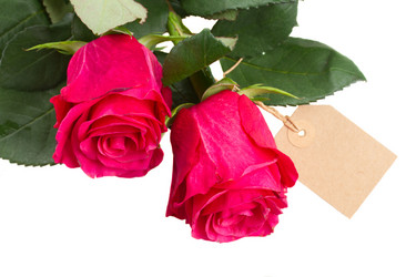 Similar image 6746601