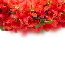 Similar image 6746602