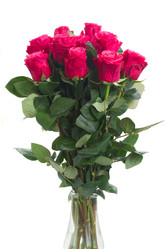 Similar image 6746603