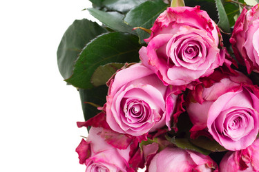 Similar image 6746618