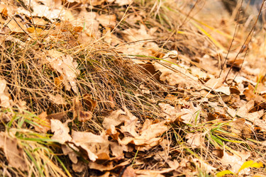 Similar image 6746640