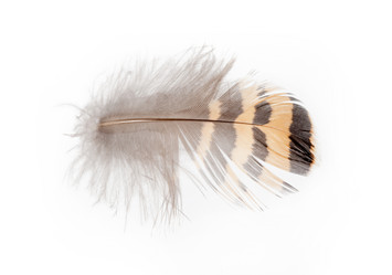 Similar image 6746644