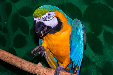 Similar image 6746669