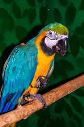 Similar image 6746670