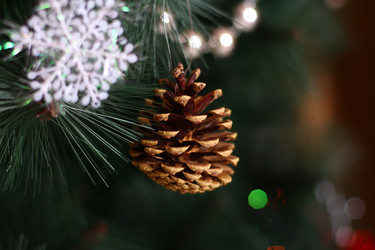 Similar image 6746732