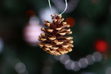 Similar image 6746734