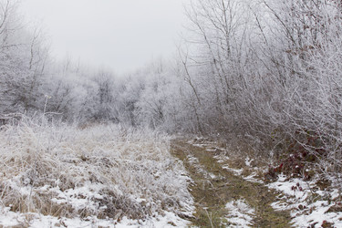 Similar image 6747191