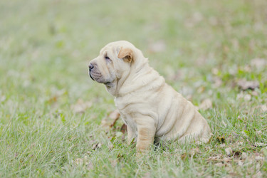 Similar image 6747193