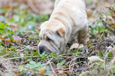 Similar image 6747197