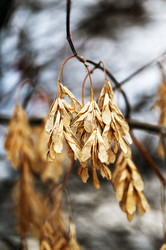 Similar image 6747455