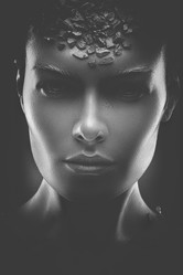 Similar image 6747493