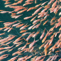 Similar image 6747539