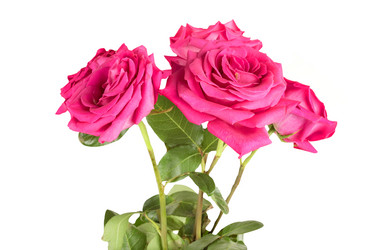 Similar image 6747547