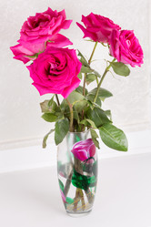 Similar image 6747548