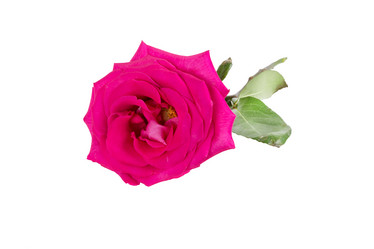 Similar image 6747550