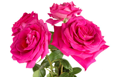 Similar image 6747551