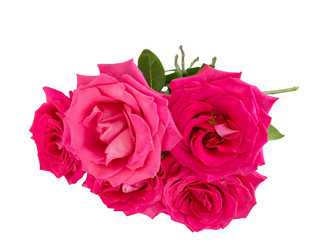 Similar image 6747555