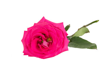 Similar image 6747557