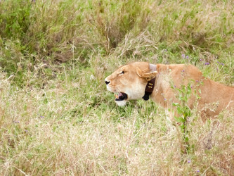 Similar image 6762157